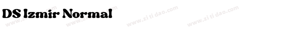 DS Izmir Normal字体转换